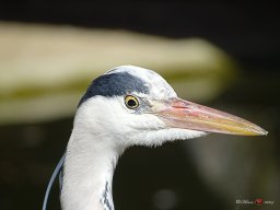 Tiergarten Schönbrunn am 23.03.2023